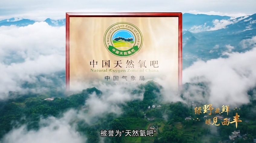 綠野藏鮮 眼見(jiàn)西豐